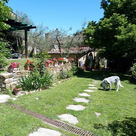 Вилла Casa Mezzuola Agriturismo Греве-ин-Кьянти Экстерьер фото