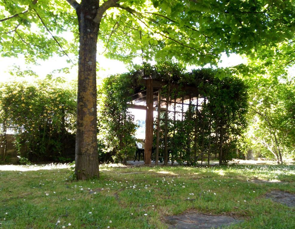 Вилла Casa Mezzuola Agriturismo Греве-ин-Кьянти Экстерьер фото